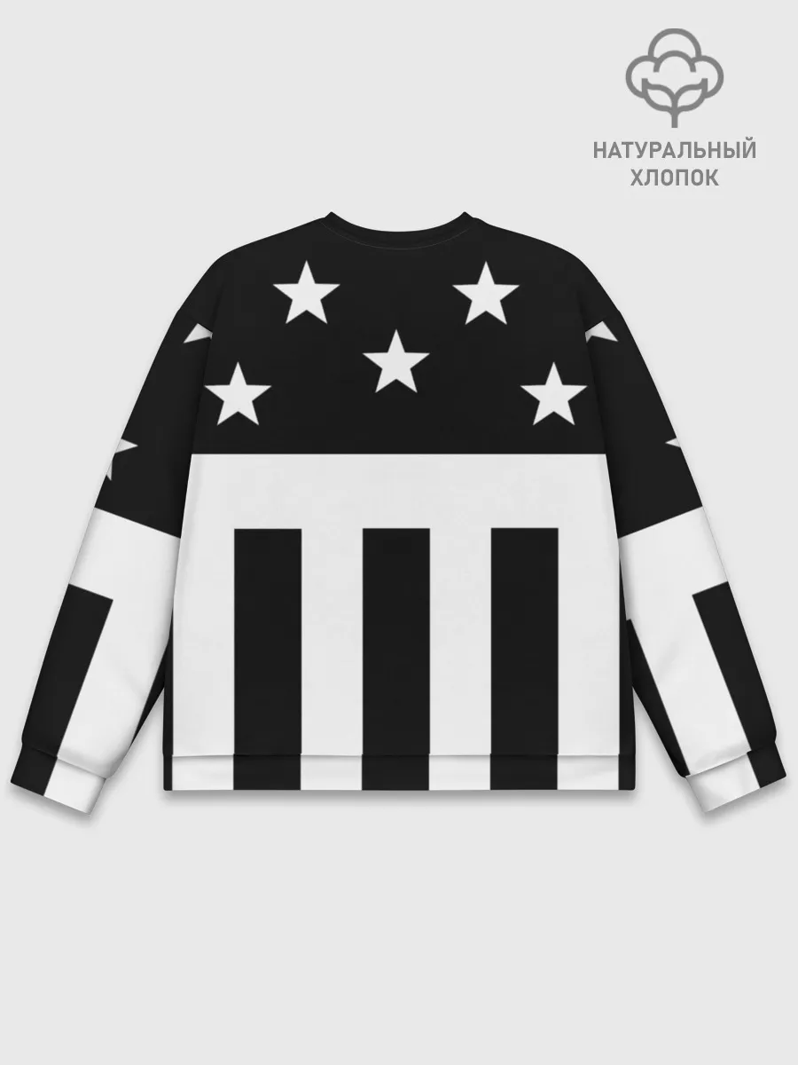 Мужской свитшот базовый / PRODIGY