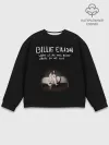Мужской свитшот базовый / Billie Eilish