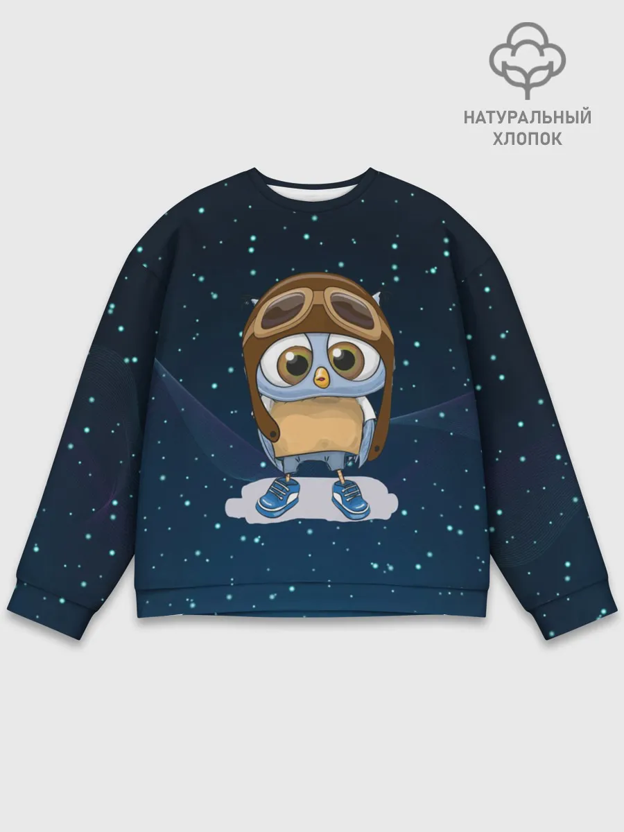 Мужской свитшот базовый / Совенок летчик