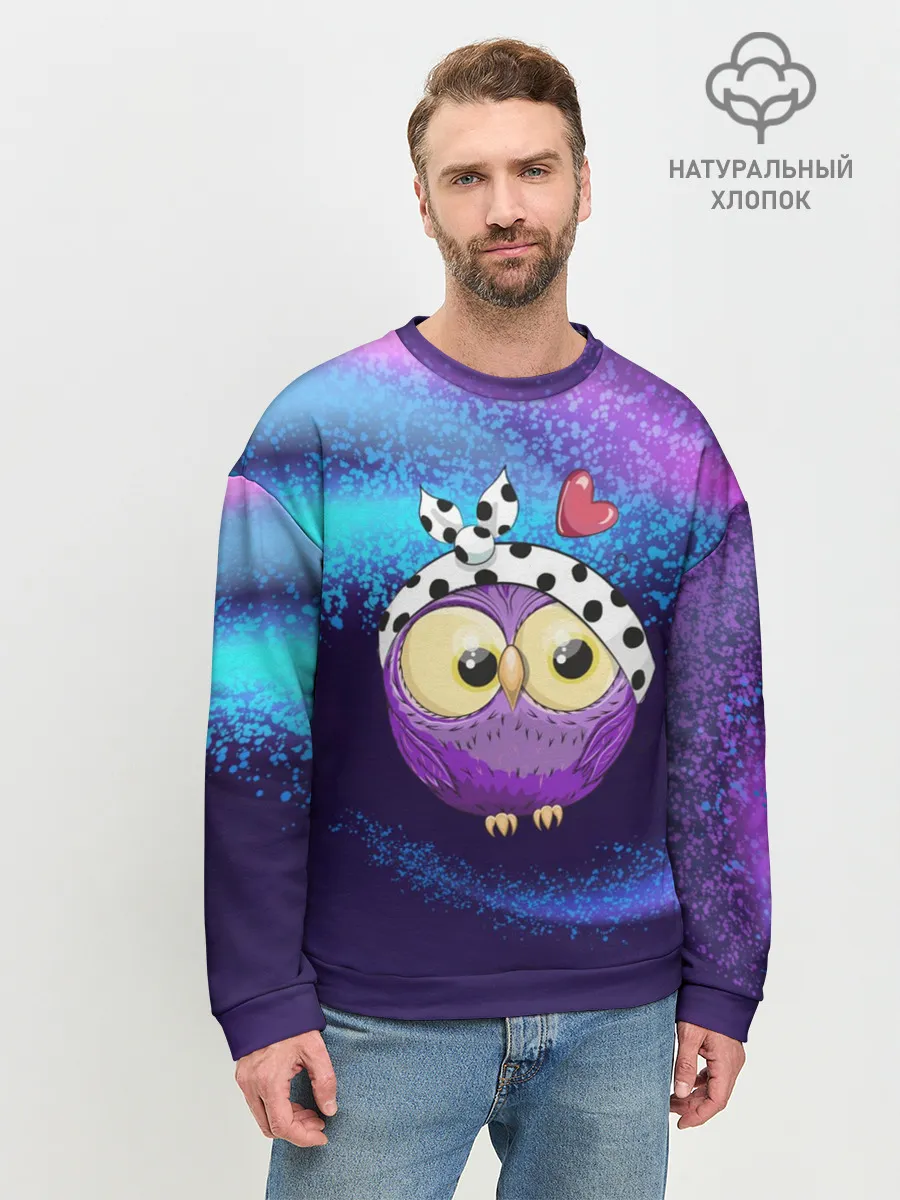 Мужской свитшот базовый / Стильная сова