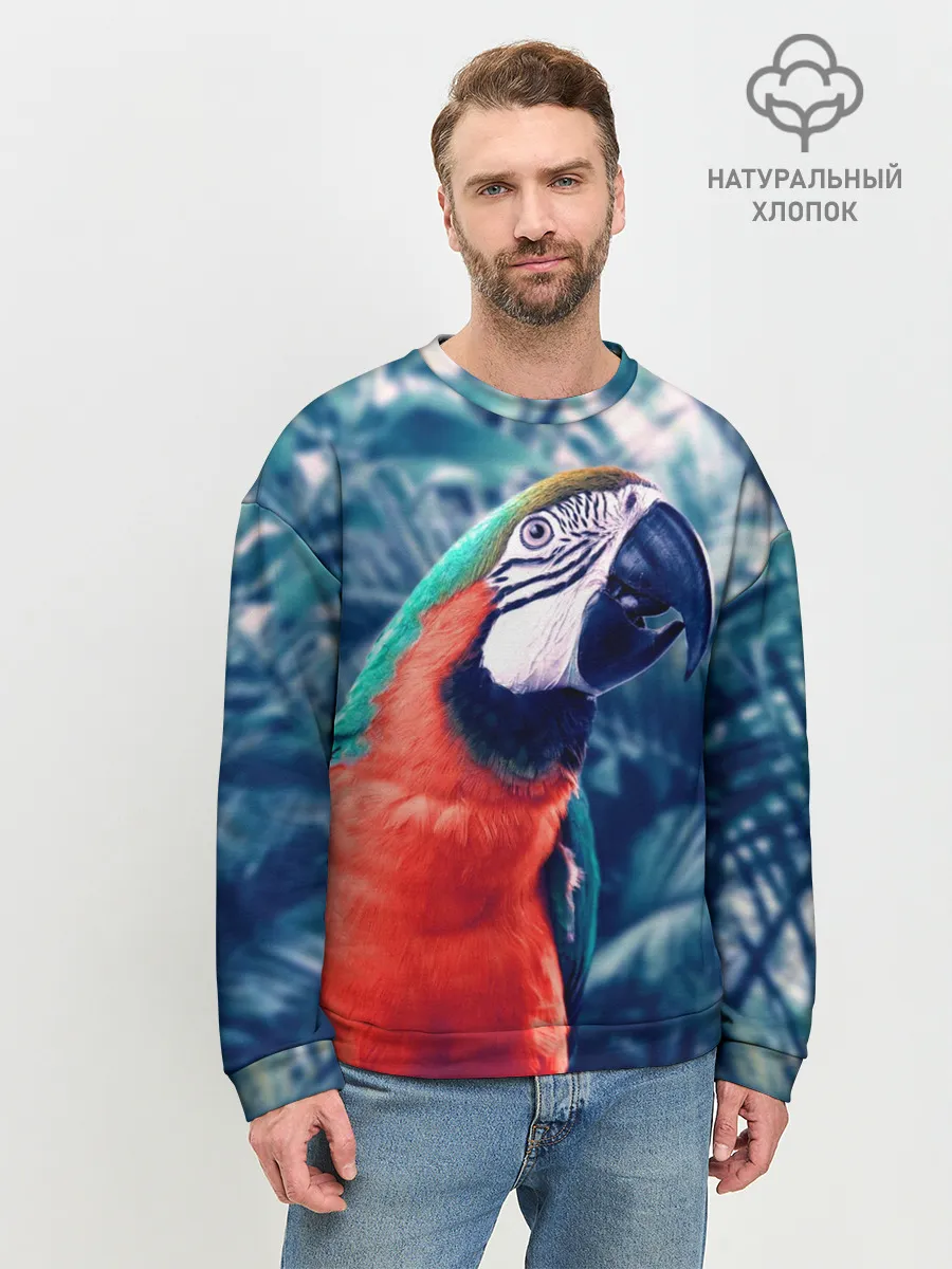 Мужской свитшот базовый / Попугай