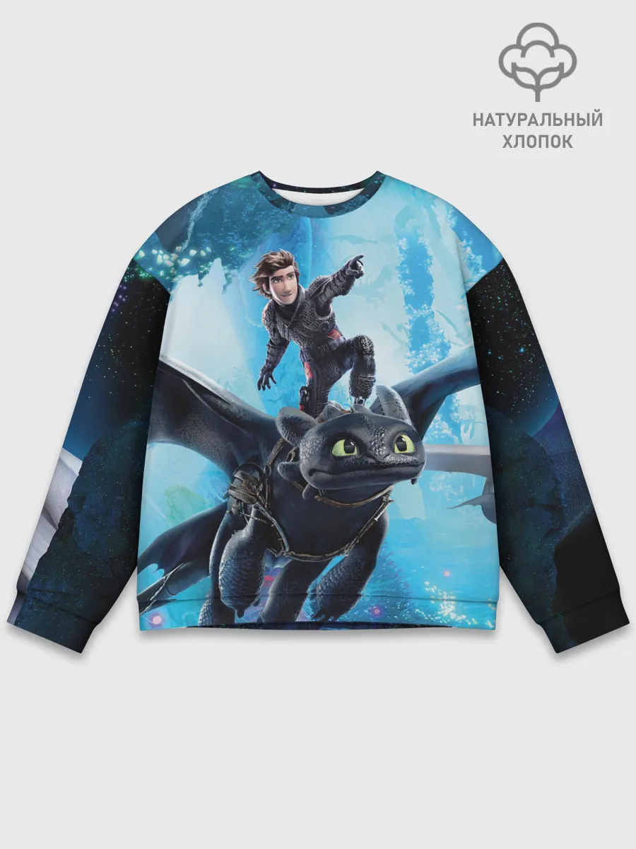 Мужской свитшот базовый / Как приручить дракона 3
