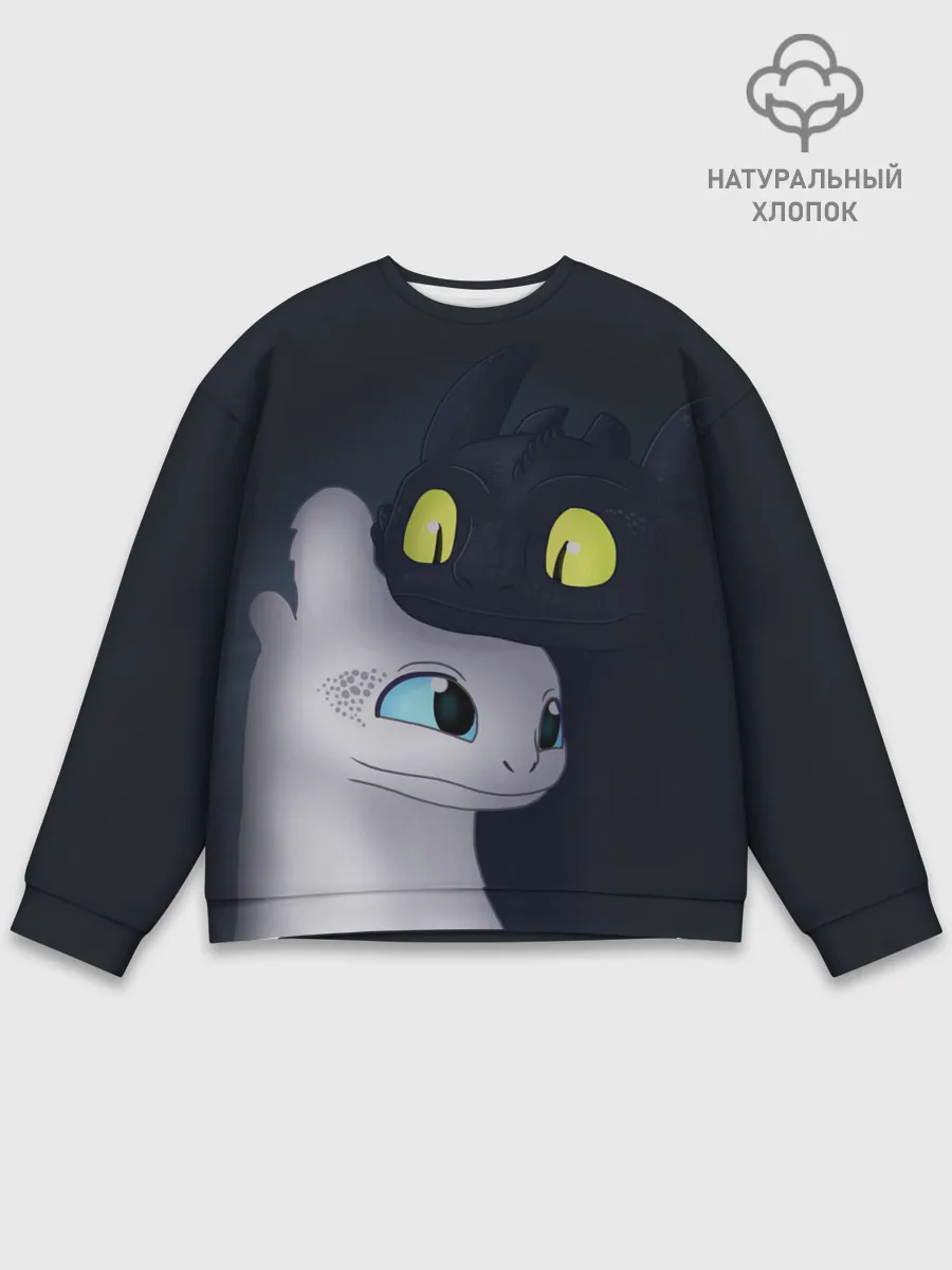 Мужской свитшот базовый / Как приручить дракона