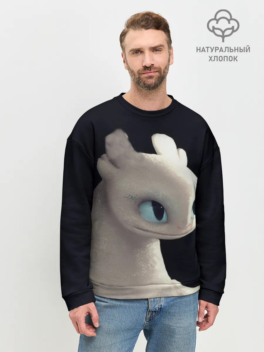 Мужской свитшот базовый / Как приручить дракона