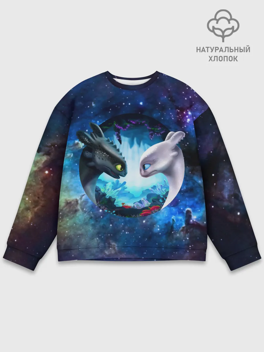 Мужской свитшот базовый / ночная фурия