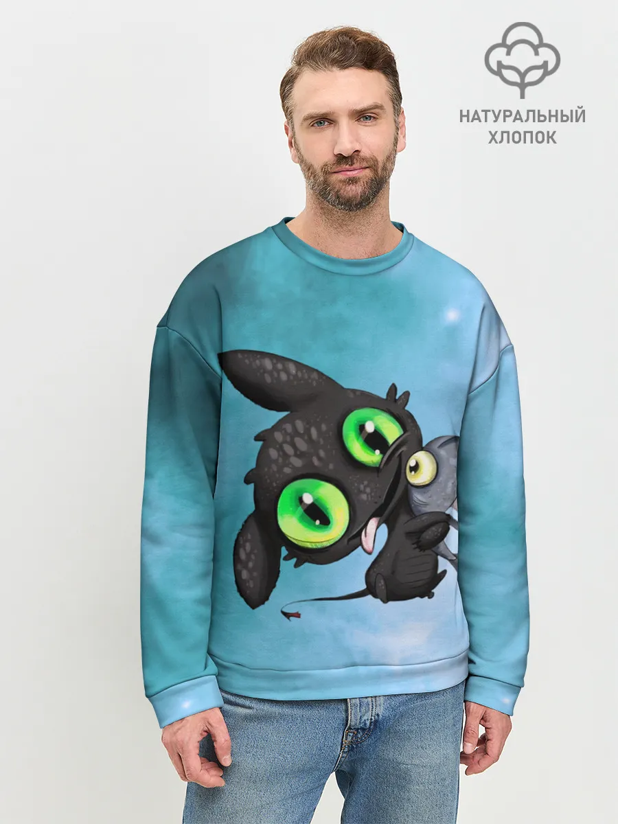 Мужской свитшот базовый / дневная фурия