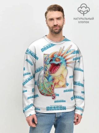 Мужской свитшот базовый / Как приручить дракона