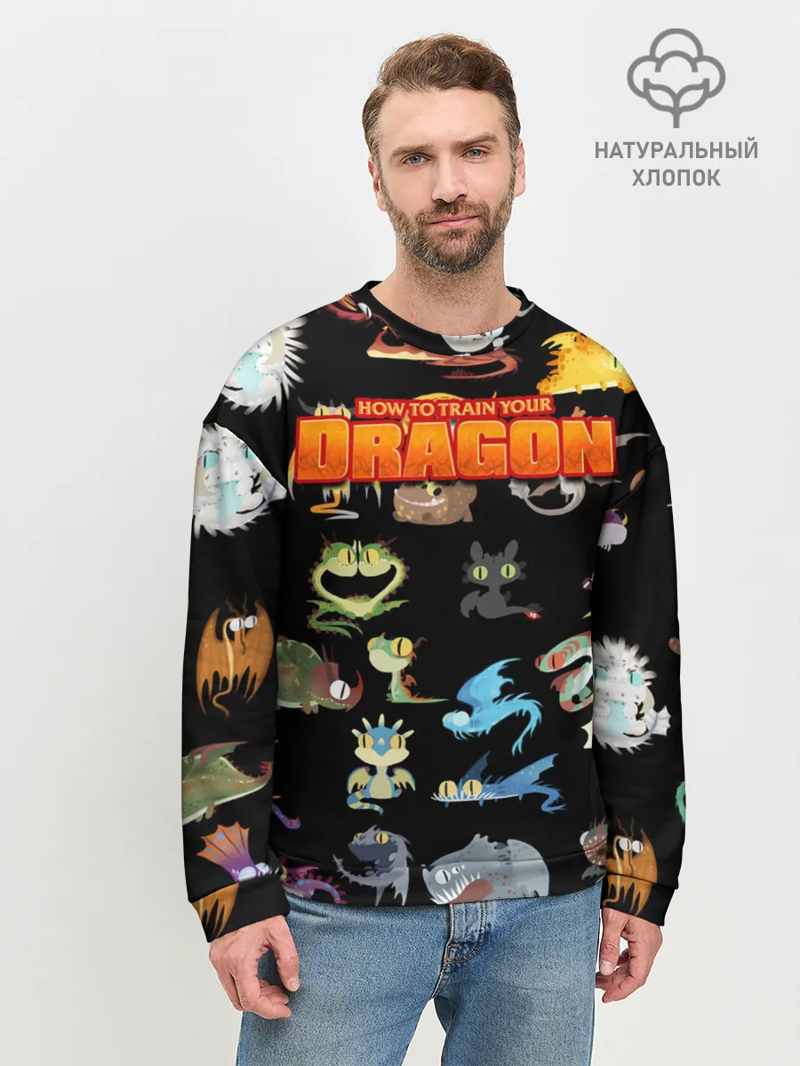 Мужской свитшот базовый / How to Train Your Dragon