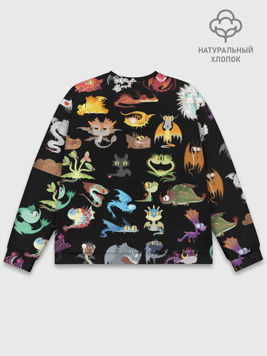Мужской свитшот базовый / How to Train Your Dragon