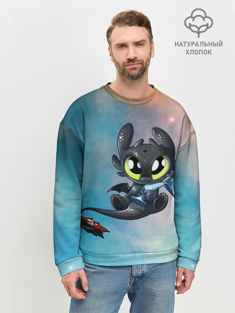 Мужской свитшот базовый / ночная фурия