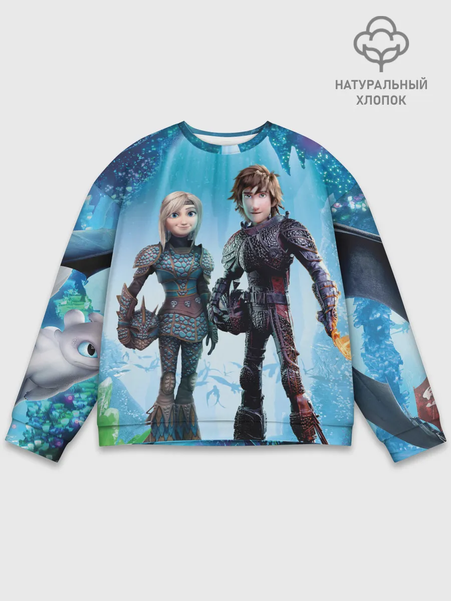 Мужской свитшот базовый / Как приручить дракона 3