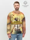Мужской свитшот базовый / PUBG BOOM