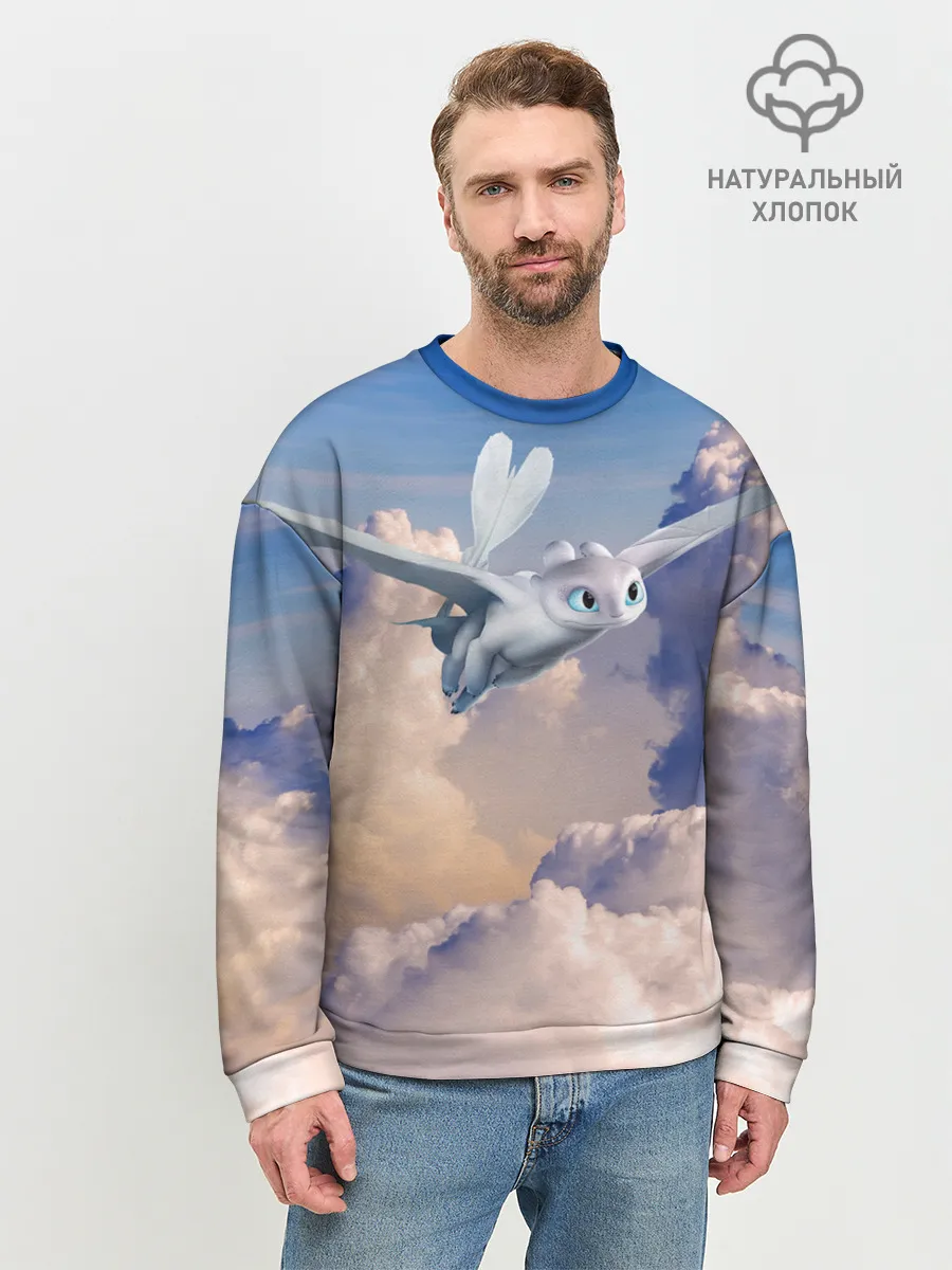 Мужской свитшот базовый / Light Fury