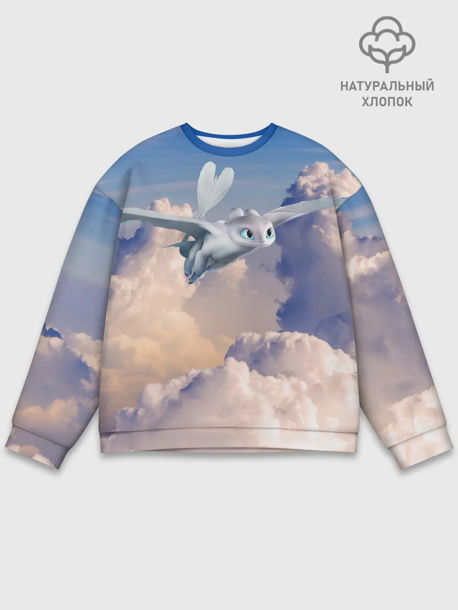 Мужской свитшот базовый / Light Fury