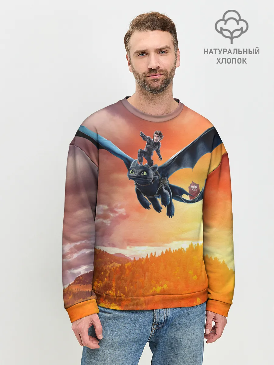 Мужской свитшот базовый / Night Fury