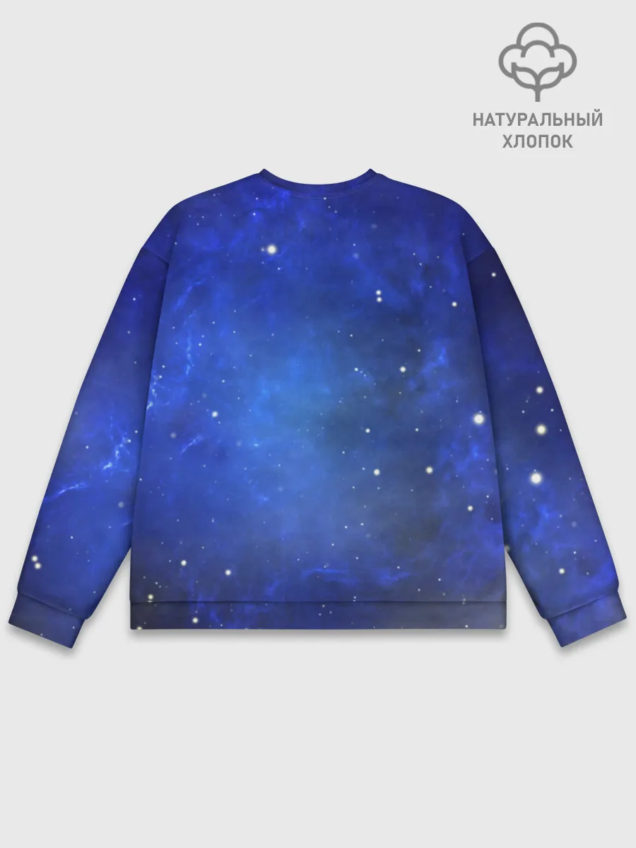 Мужской свитшот базовый / Night Fury