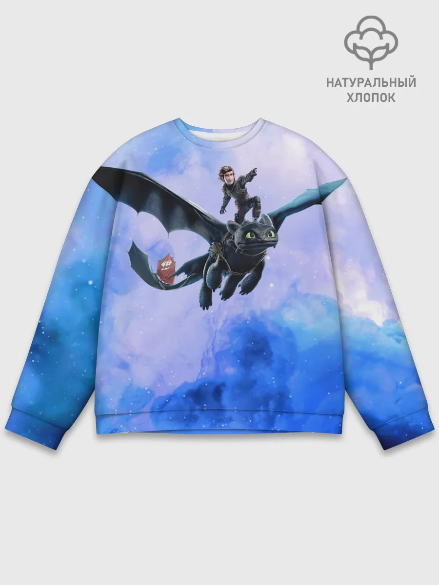 Мужской свитшот базовый / Night Fury