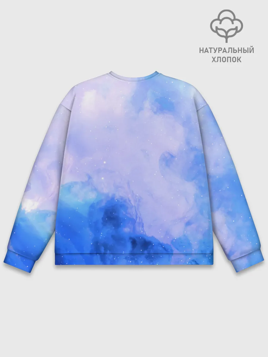 Мужской свитшот базовый / Night Fury