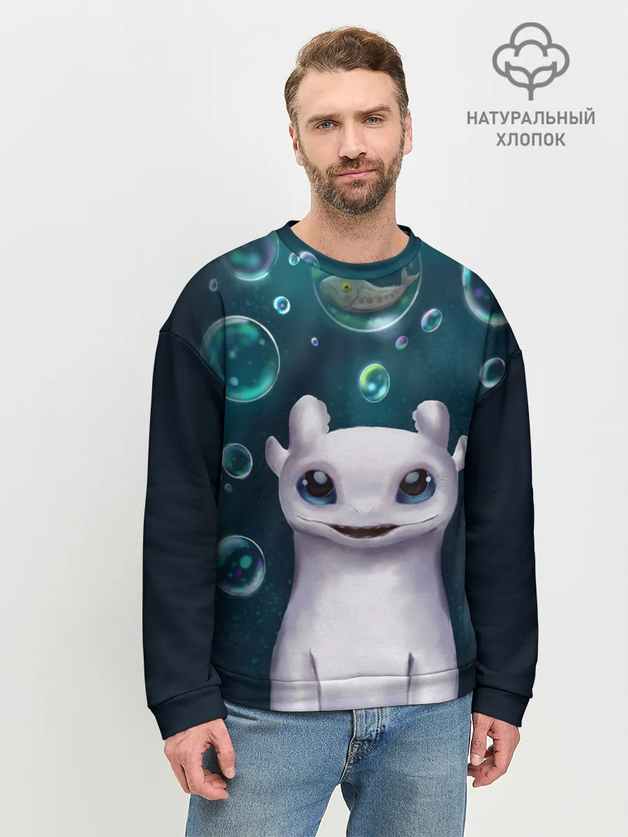 Мужской свитшот базовый / дневная фурия