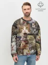 Мужской свитшот базовый / Те самые коты