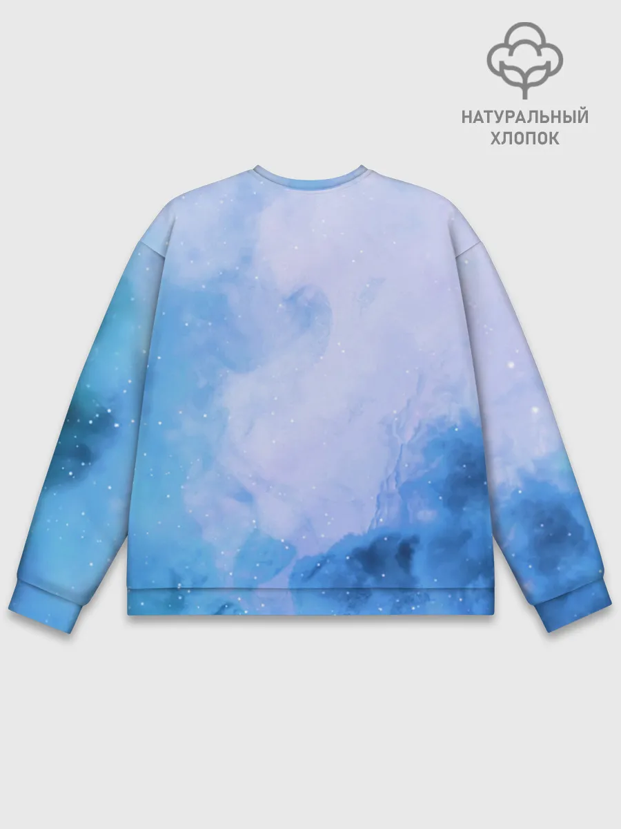 Мужской свитшот базовый / дневная фурия