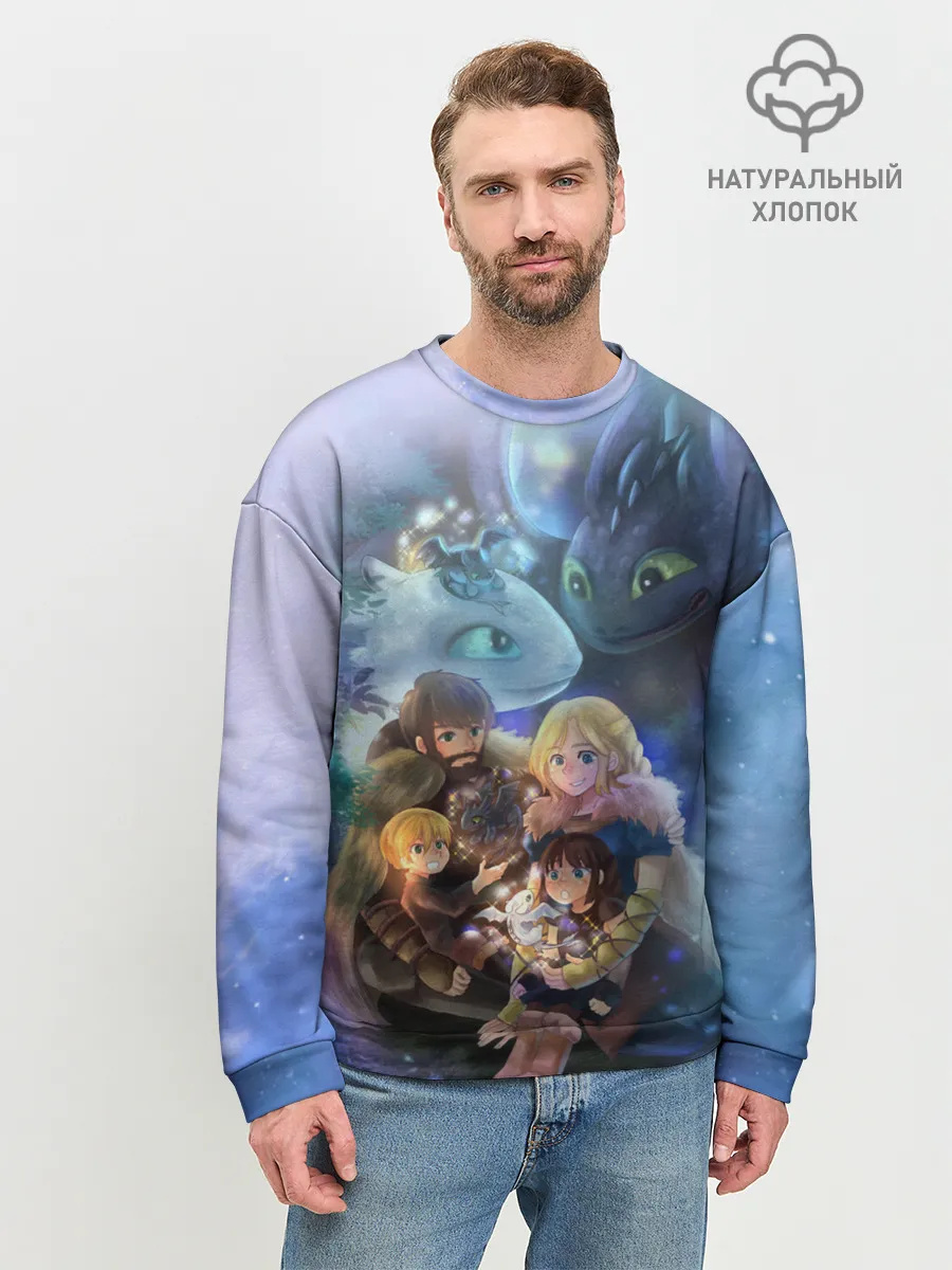 Мужской свитшот базовый / ночная фурия