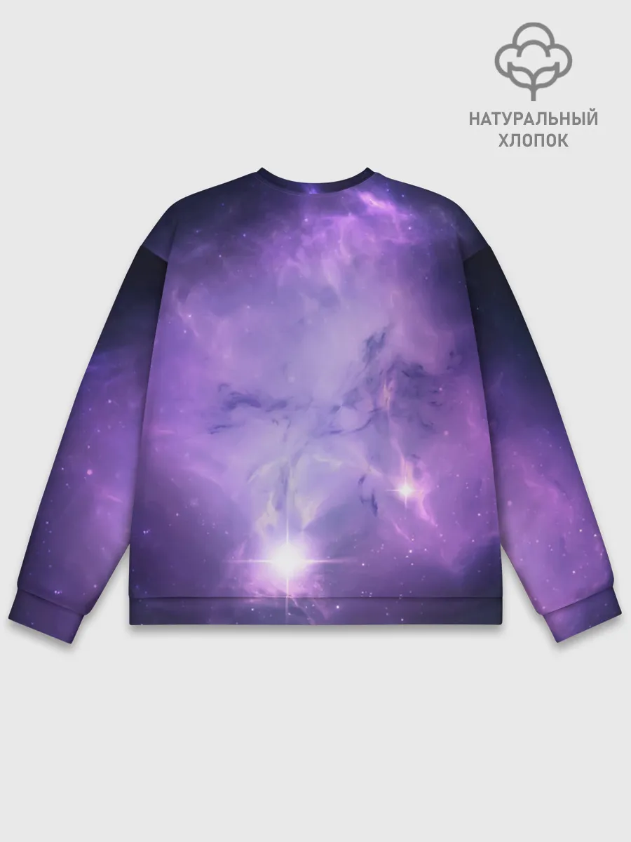 Мужской свитшот базовый / дневная фурия