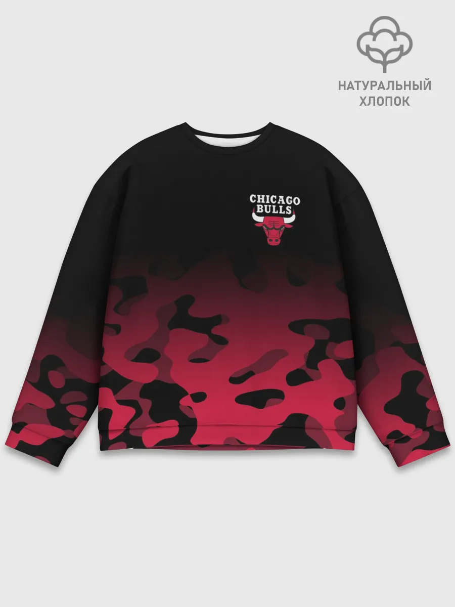 Мужской свитшот базовый / CHICAGO BULLS