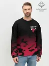 Мужской свитшот базовый / CHICAGO BULLS