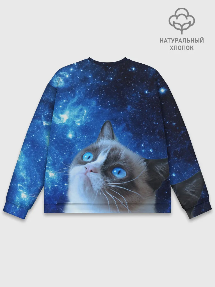 Мужской свитшот базовый / Сердитый кот в космосе