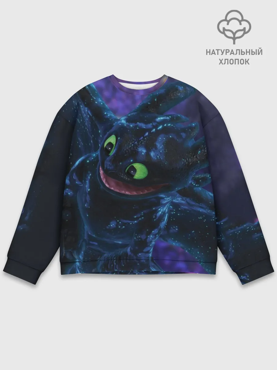 Мужской свитшот базовый / Как приручить дракона