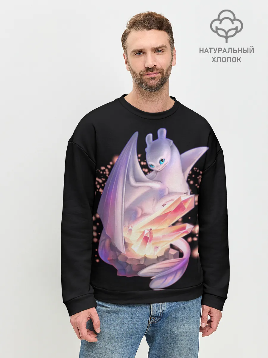 Мужской свитшот базовый / дневная фурия