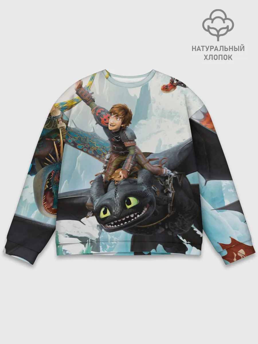 Мужской свитшот базовый / Как приручить дракона