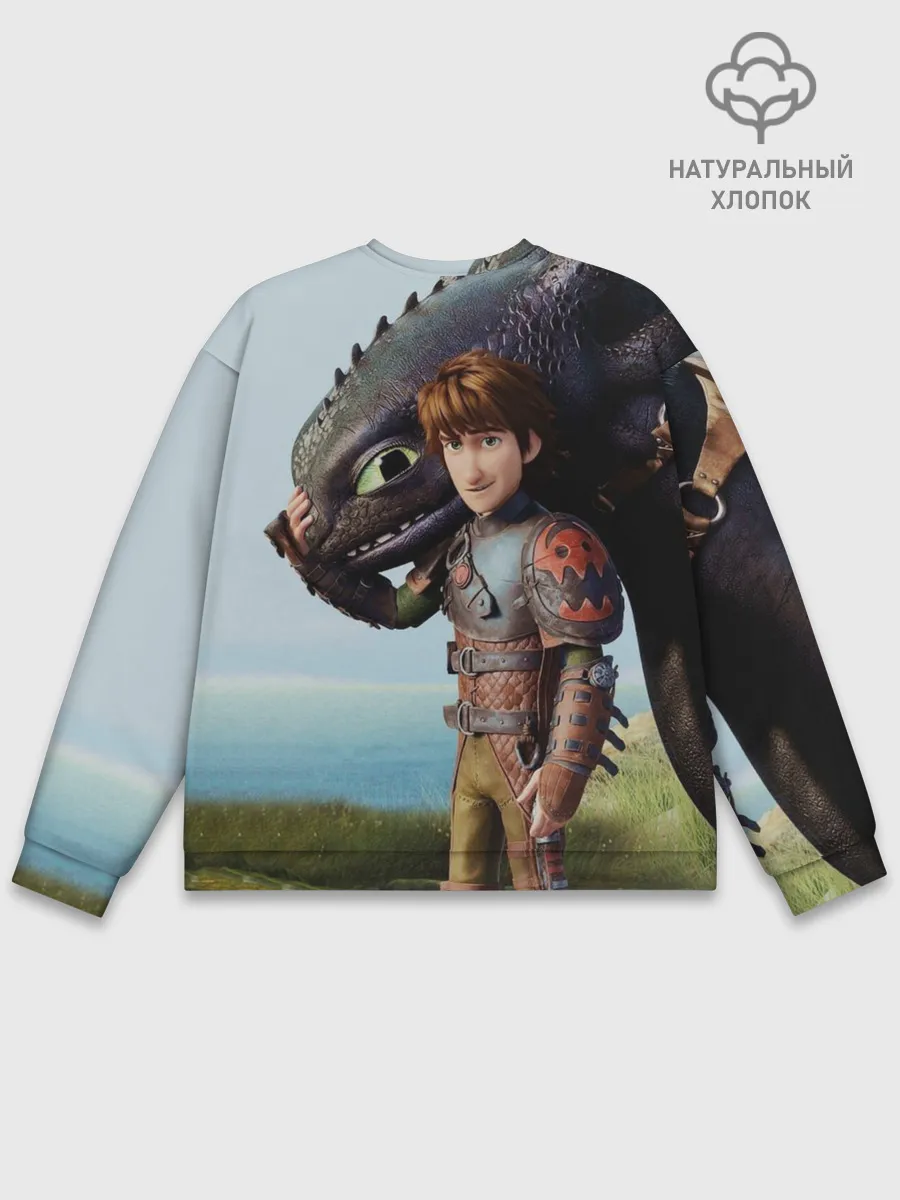 Мужской свитшот базовый / Как приручить дракона