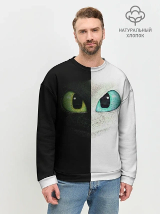 Мужской свитшот базовый / Как приручить дракона