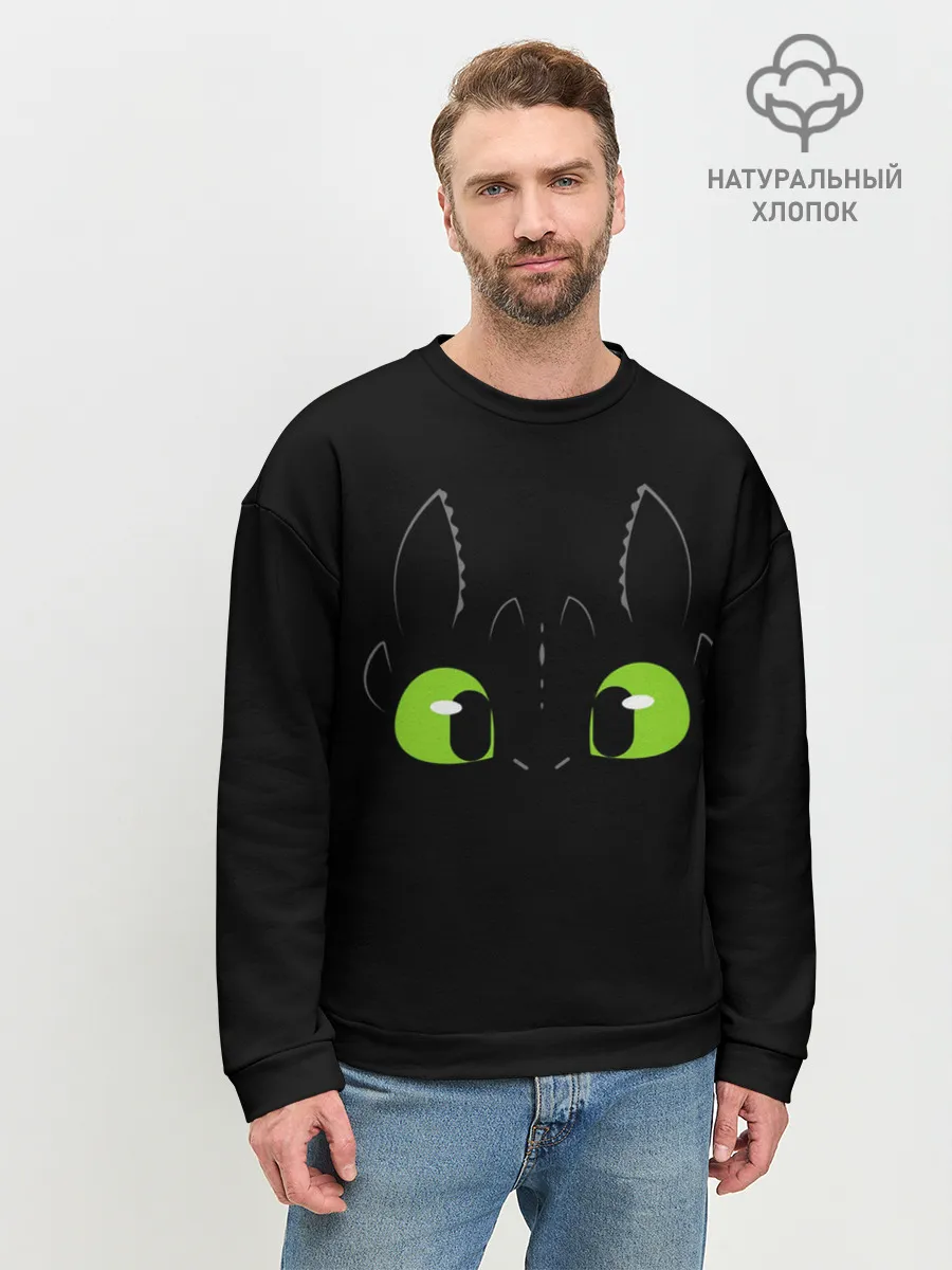 Мужской свитшот базовый / Как приручить дракона