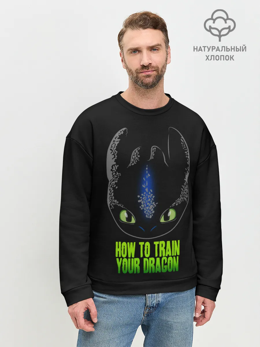 Мужской свитшот базовый / Как приручить дракона