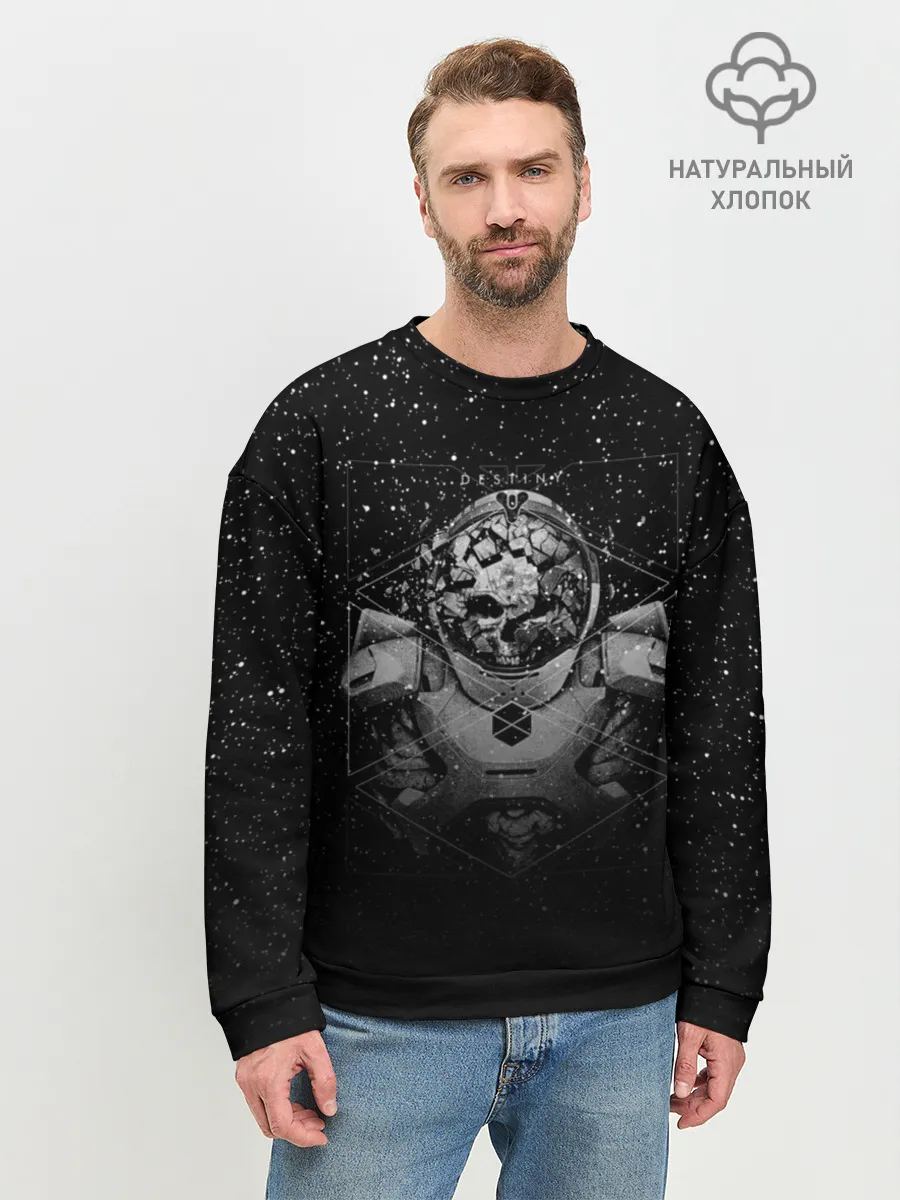 Мужской свитшот базовый / DESTINY