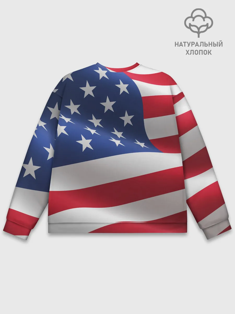 Мужской свитшот базовый / USA