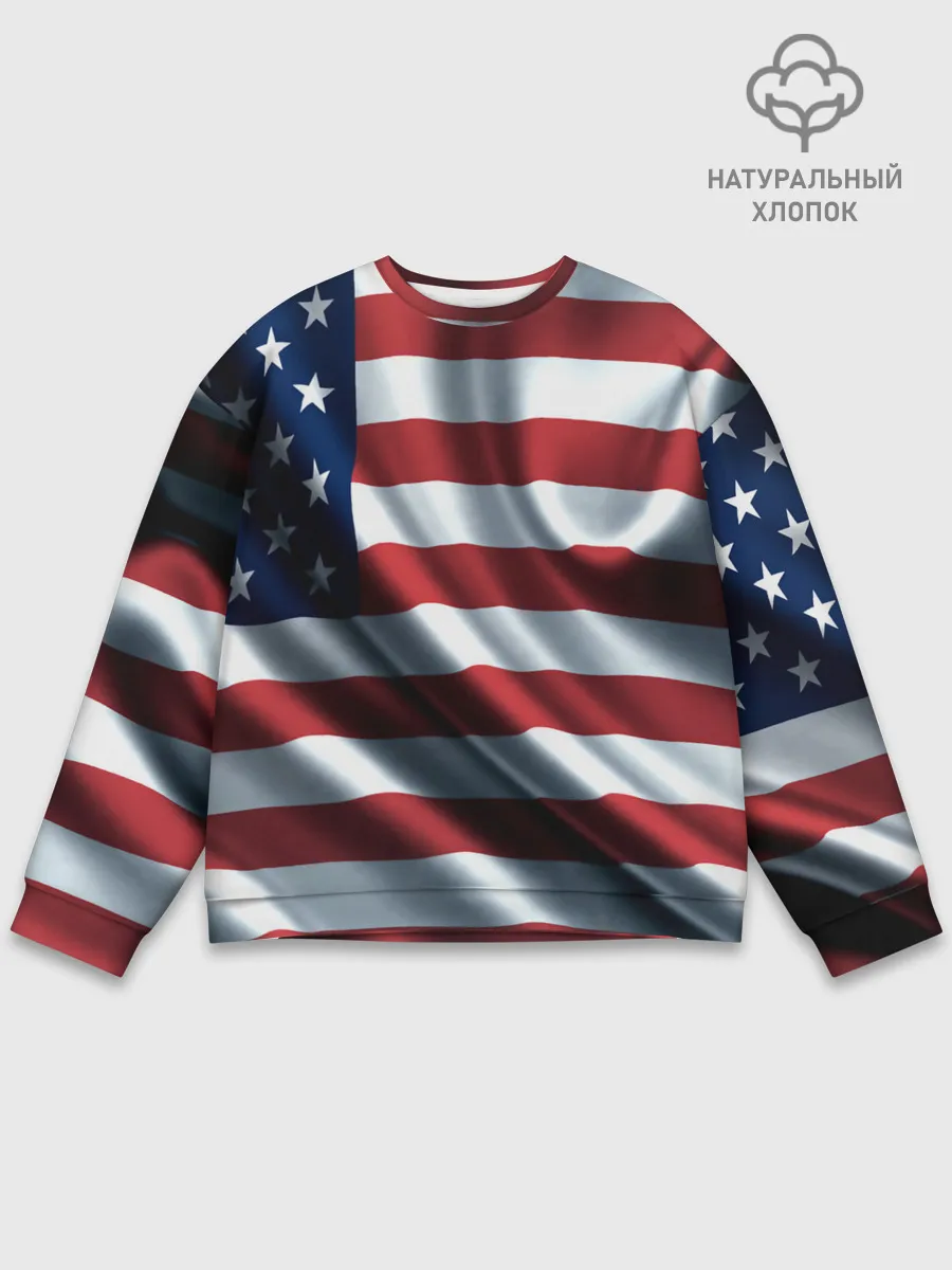 Мужской свитшот базовый / Символика Америки