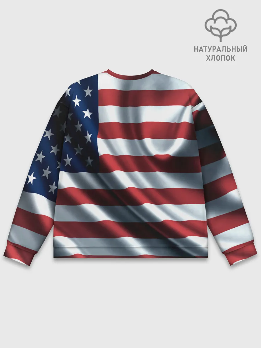 Мужской свитшот базовый / Символика Америки