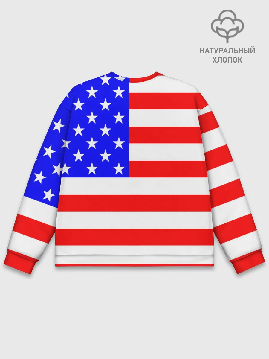Мужской свитшот базовый / АМЕРИКАНСКИЙ ФЛАГ