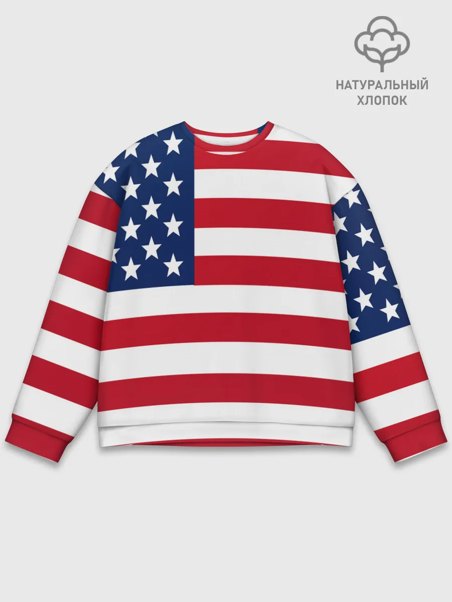 Мужской свитшот базовый / USA