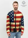 Мужской свитшот базовый / USA URBAN