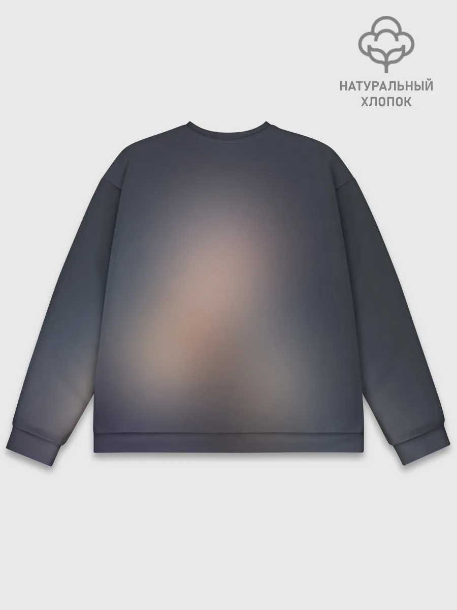 Мужской свитшот базовый / Hair