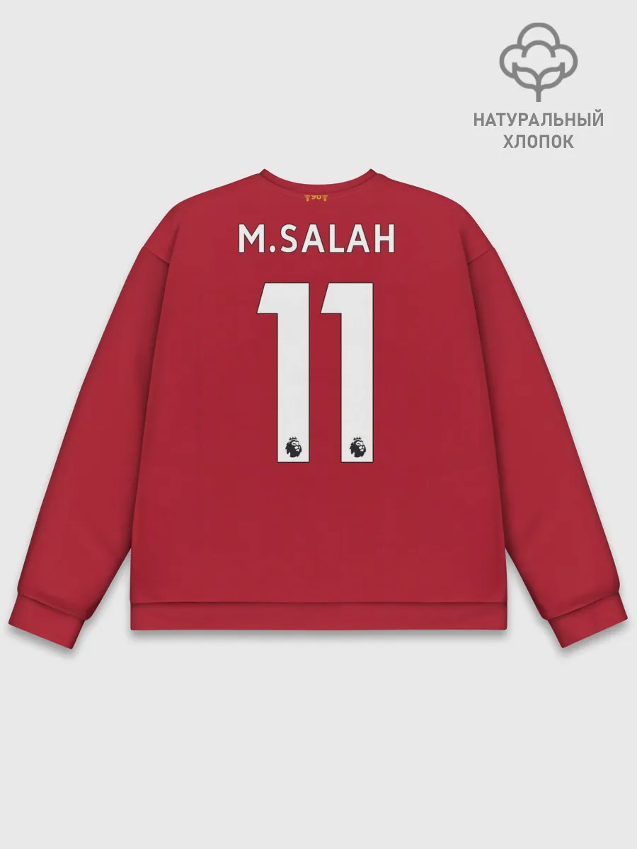 Мужской свитшот базовый / Salah home 19-20