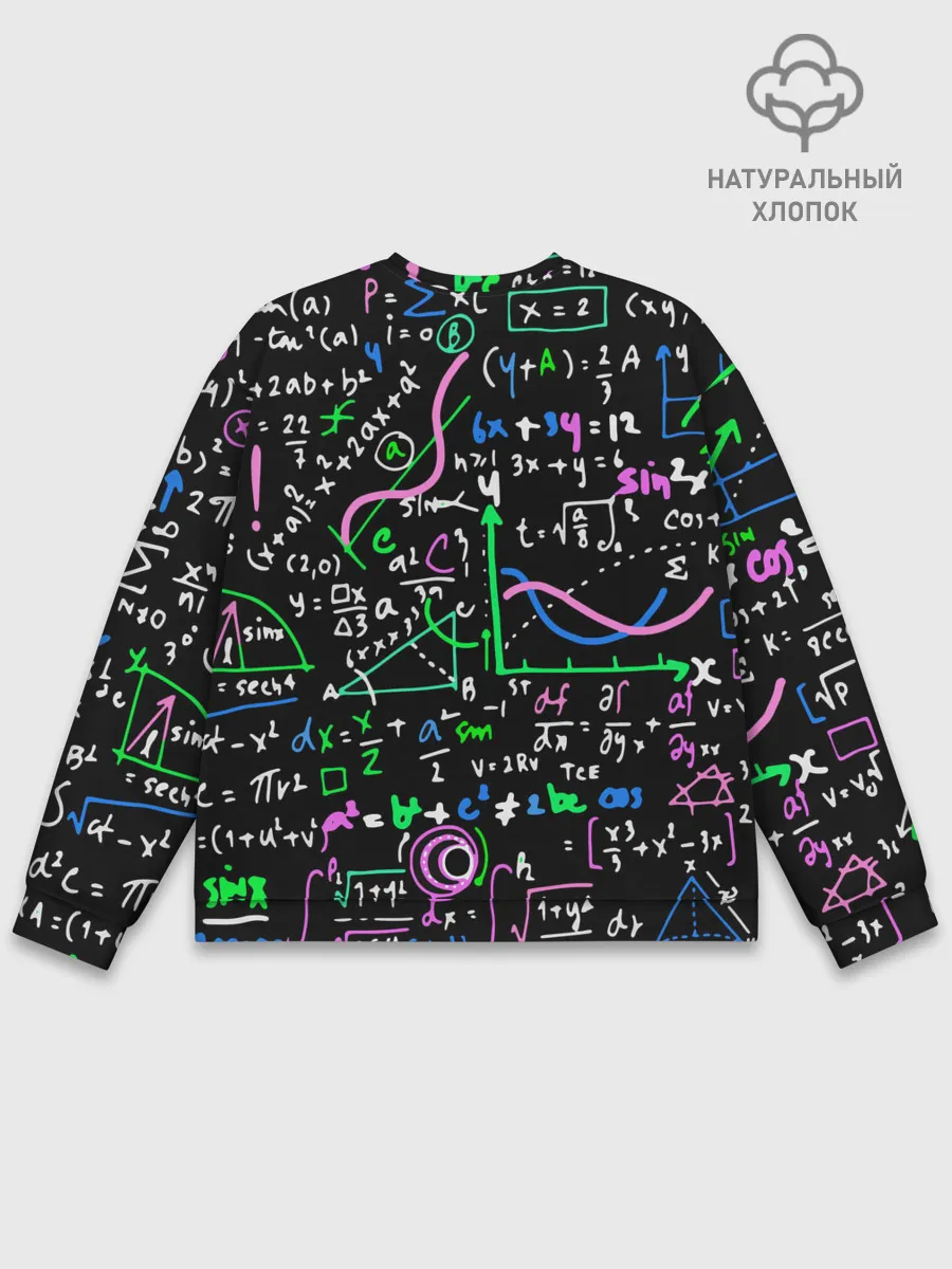 Мужской свитшот базовый / Формулы