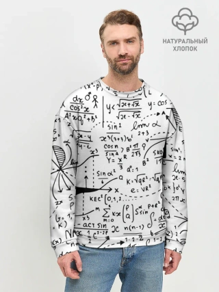 Мужской свитшот базовый / Формулы