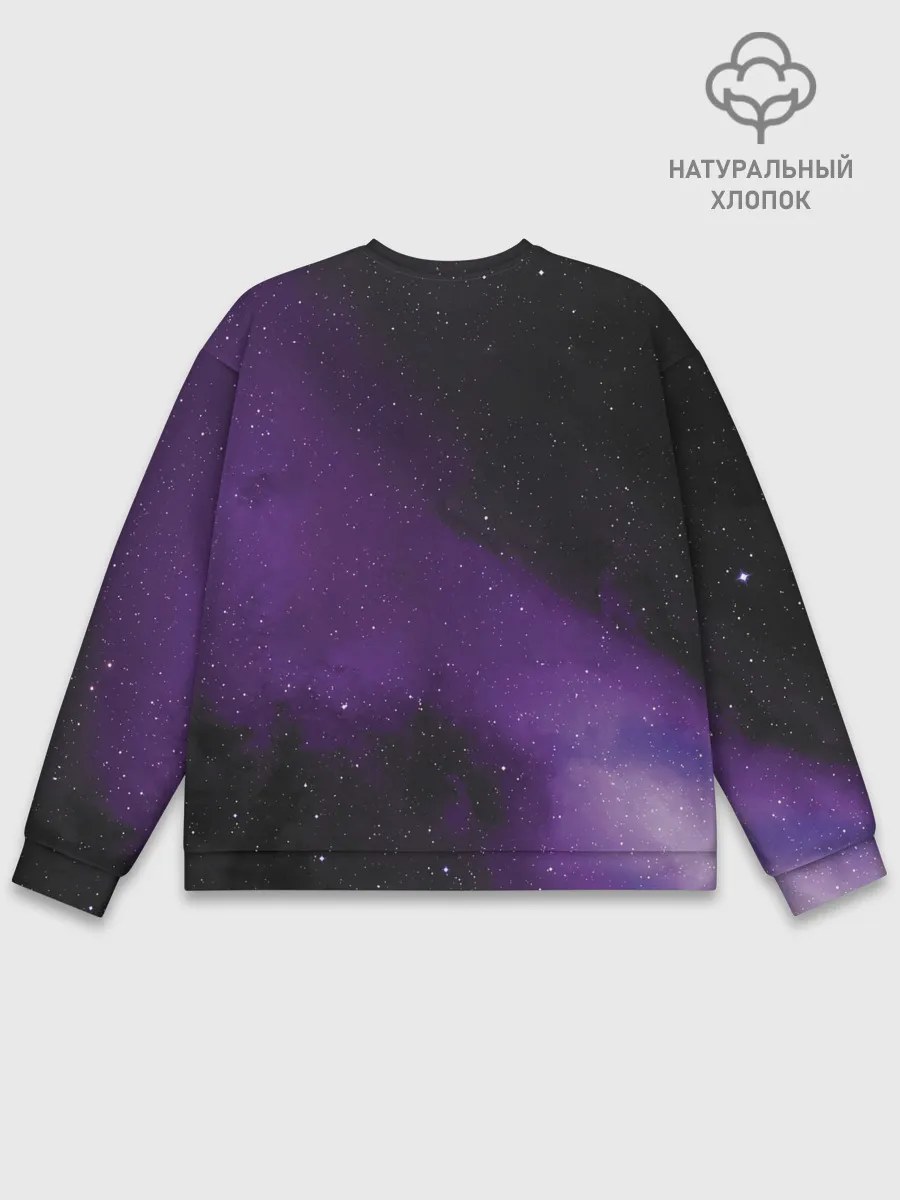 Мужской свитшот базовый / Space 69