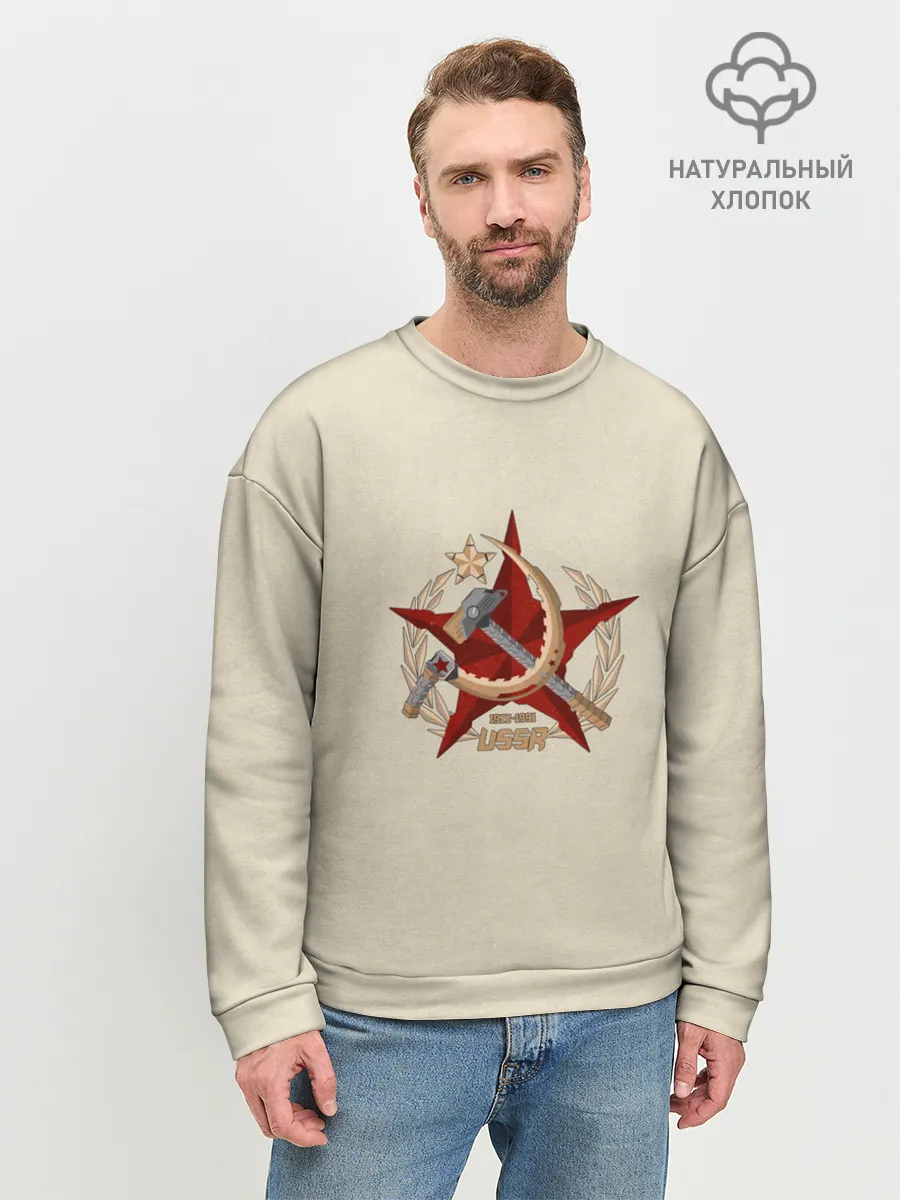 Мужской свитшот базовый / USSR 1922 - 1991